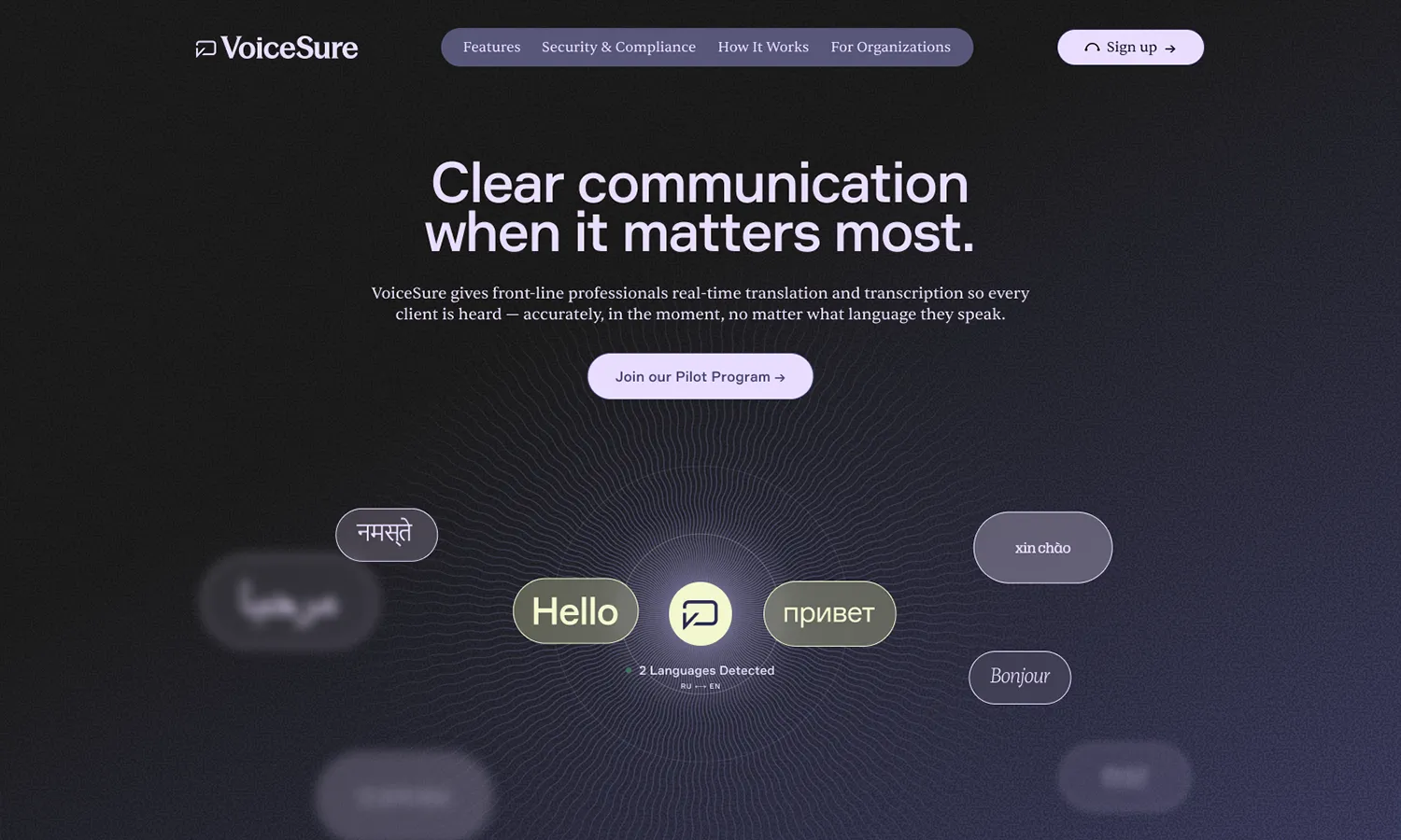 VoiceSure marketing site hero
